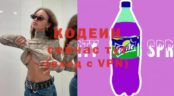 дживик Новозыбков