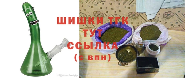 дживик Новозыбков