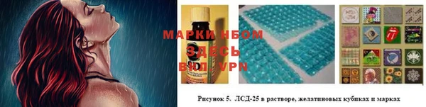 дживик Новозыбков