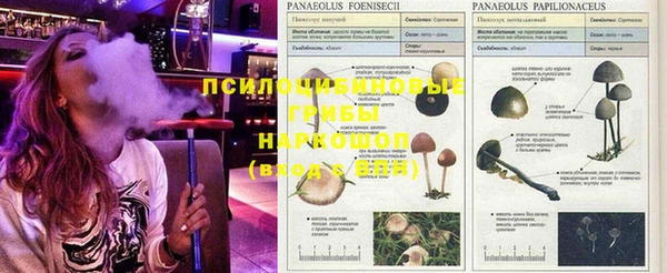 соль курить ск Новокубанск