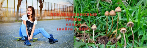 соль курить ск Новокубанск