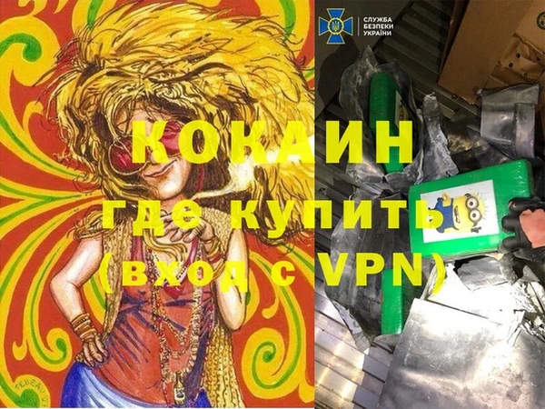 дживик Новозыбков