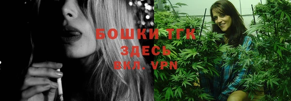 дживик Новозыбков