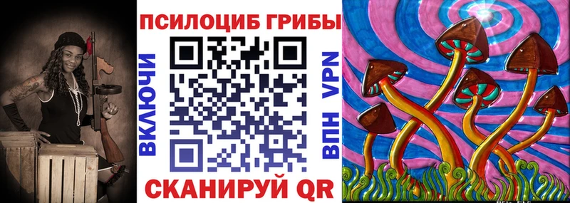 где купить наркотик  Богородицк  Псилоцибиновые грибы мицелий 