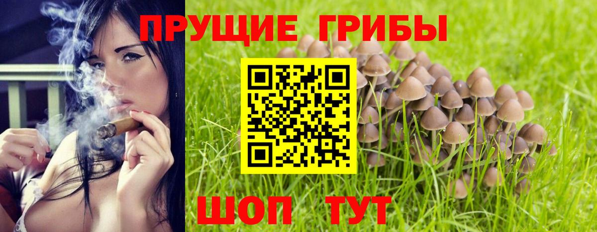 купить   Галлюциногенные грибы Psilocybine cubensis  Вход с VPN  Богородицк 